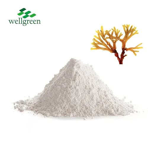 Brown Seaweed Extract Powder